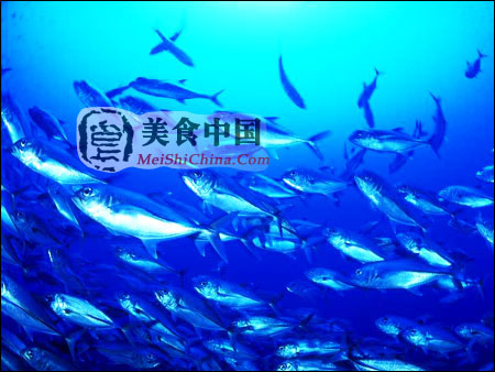 美食中国图片·饮食健康·营养手册·维生素D(骨化醇) - meishichina.com