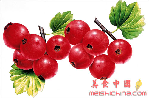 美食中国美食图片·饮食健康·食疗食补·山楂的药用价值  - meishichina.com