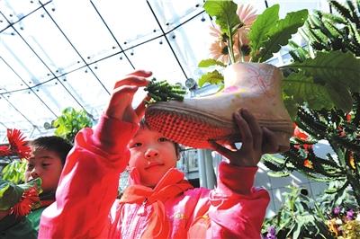 植物园里环保种花