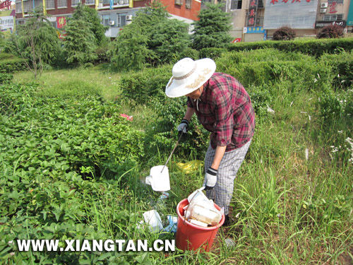 72岁老娭毑不图名利捡垃圾志愿环保美化家园