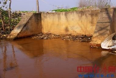 距银鸽投资厂房约1公里处的污水排口正流出污水，漯河市环保局工作人员称污水主要由银鸽投资及兴贸钛业等企业排出，而银鸽投资的排量最大