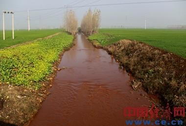 距银鸽投资厂房约1公里处的污水排口正流出污水，漯河市环保局工作人员称污水主要由银鸽投资及兴贸钛业等企业排出，而银鸽投资的排量最大