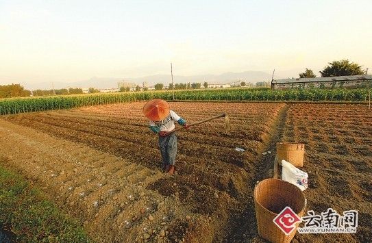 用地上山咋破资金环保瓶颈我省学者给出建议