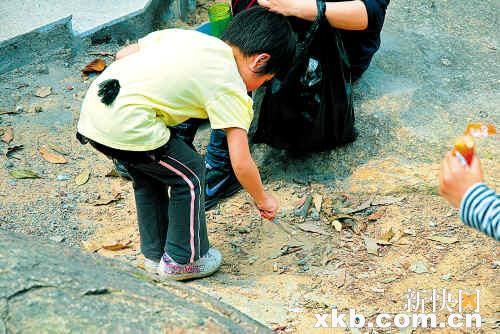 “驴友”们登火炉山不忘捡垃圾宣传环保意识