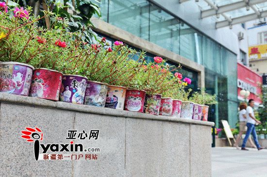 乌鲁木齐市一酒店门前开拓“环保农场”方便面碗里种花草