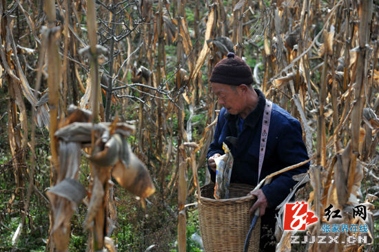 【记者走基层】武陵源区索溪峪镇的环保“盛宴”