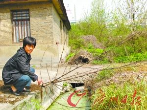 魏家的养猪场一角，烟囱位置便是大生化工厂。