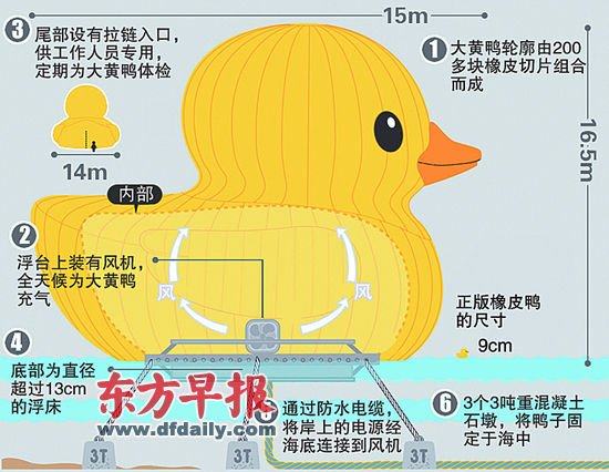 大黄鸭漏气成片皮鸭只为体检 内部构造图曝光