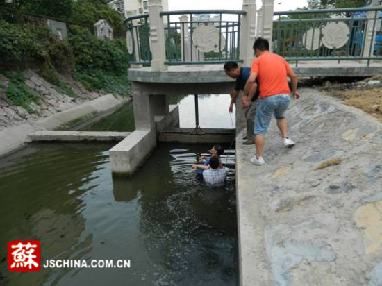 老人散步不慎落水南京建邺环保局人员跳河相救