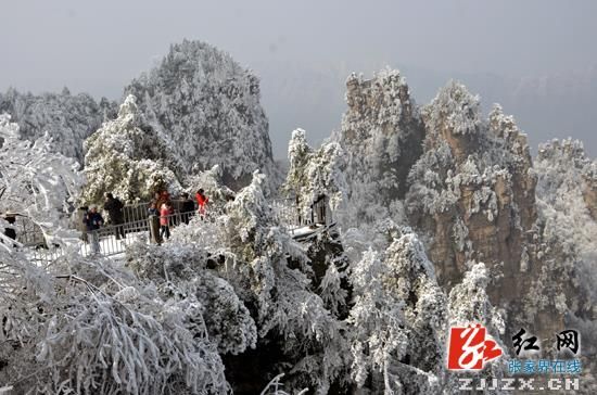 武陵源景区天子山至袁家界环保车暂未恢复通行