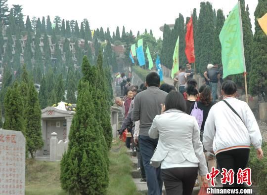 广东茂名：清明祭祀低碳环保渐趋时尚(图)