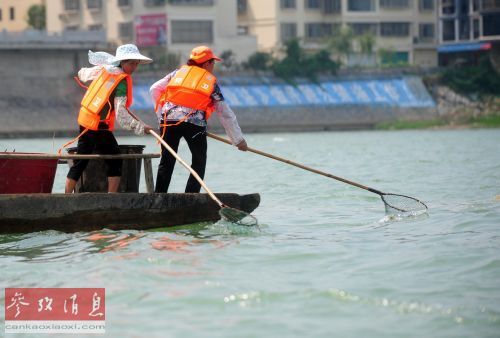 外媒：湖南桃源污染骇人中国调查"癌症村"事件