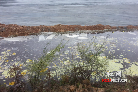 祁东一矿场污水直排非法企业污染触目惊心