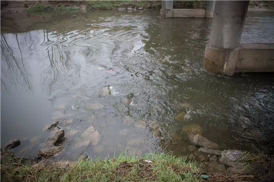 污染严重的河流鱼虾死绝（资料图）