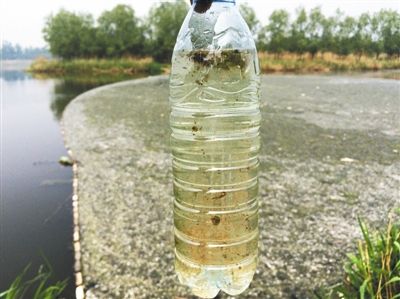 此处污水口附近的水质浑浊不清。