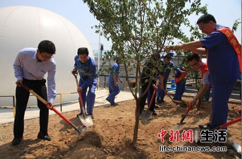 青啤举办"我为环境添点绿"活动环保志愿者联盟成立