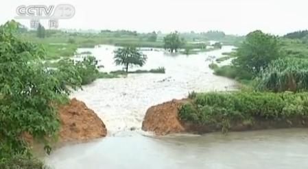 这道土坝又被挖开了，大量污水正汹涌而出