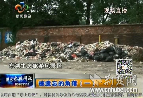 [2015武汉电视问政]东湖风景区垃圾积存无人管化工区道路尘土治理难