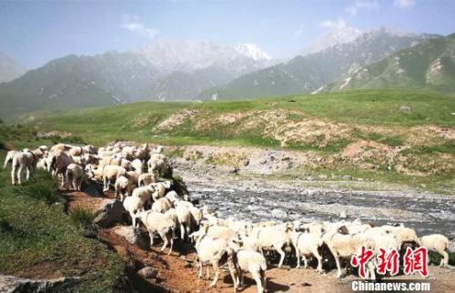  资料图：夏日的祁连山风景如画。　郎文瑞 摄