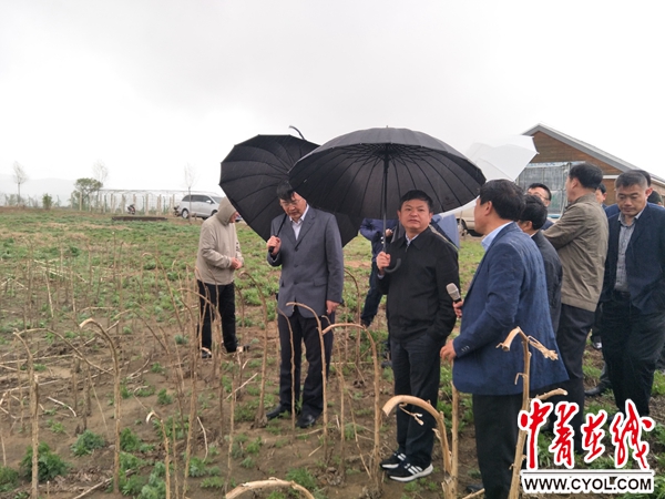  督察组雨中检查辽河流域治理情况。