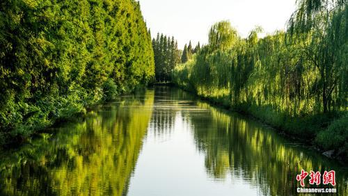 金岛生态园景区