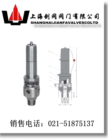 AQ空压机安全阀